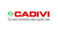 Nhóm dây cáp chống cháy, chậm cháy Cadivi CV/FR, CXV/FR, CV/FRT ...