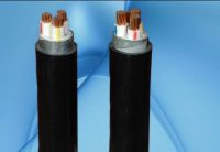 CADIVI CXV/DATA − 0,6/1 kV & CXV/DSTA − 0,6/1 kV CÁP ĐIỆN LỰC, RUỘT ĐỒNG, CÁCH ĐIỆN XLPE, GIÁP BĂNG KIM LOẠI, VỎ PVC